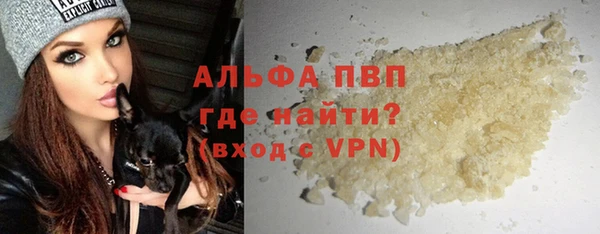 гашик Арсеньев