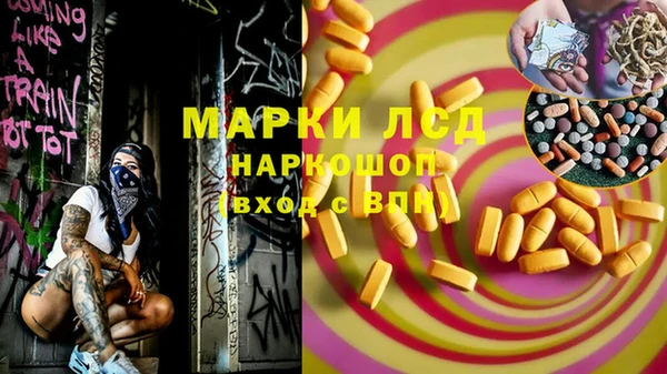 гашик Арсеньев