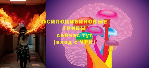 гашик Арсеньев