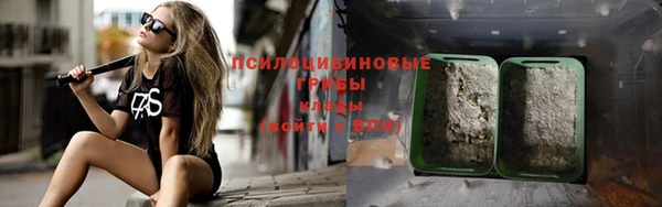 крисы Армянск