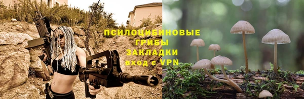 крисы Армянск
