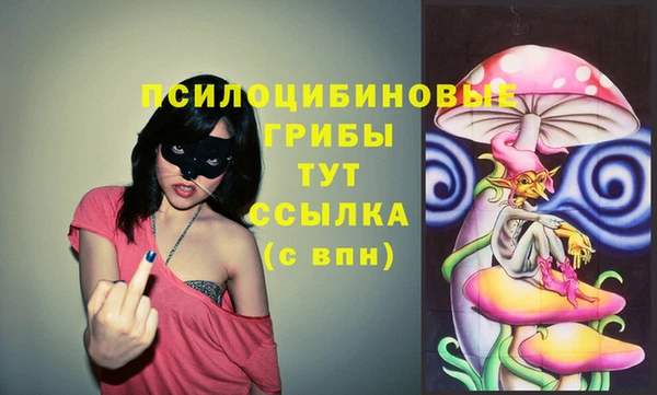 гашик Арсеньев