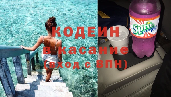 гашик Арсеньев