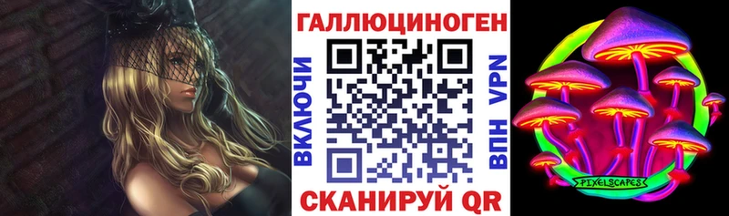 Псилоцибиновые грибы Cubensis  Купить закладки  Сегежа 